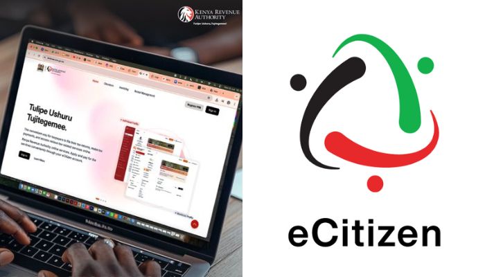 KRA & Ecitizen Jobs